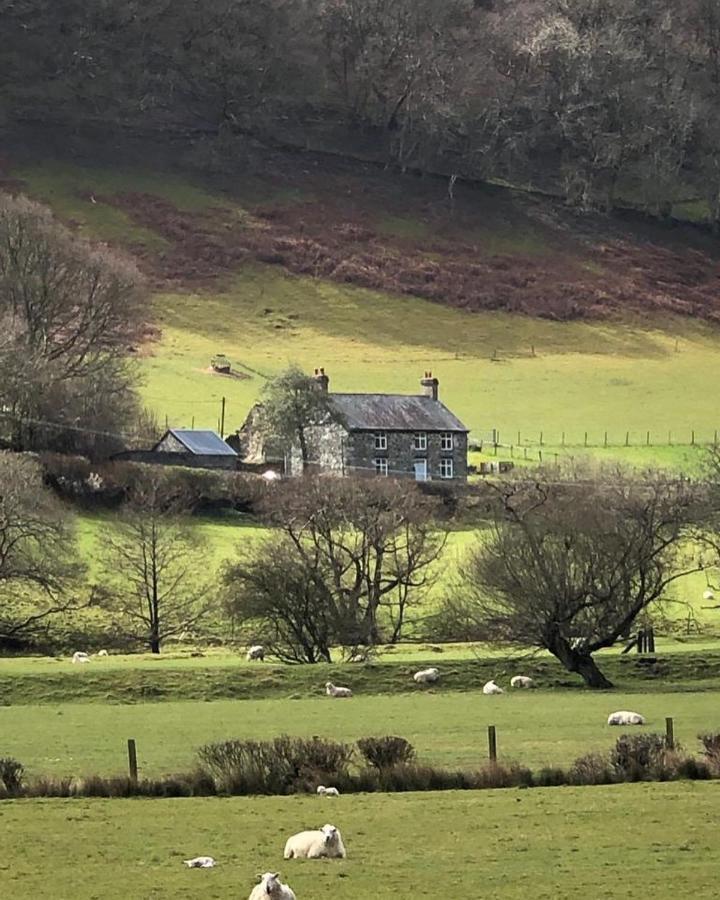 Bryn Glas Wales Llangynog Exterior foto
